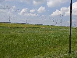 大庆市大同区绿韵牧草种植有限公司295205.48亩草原经营权分别出租公告