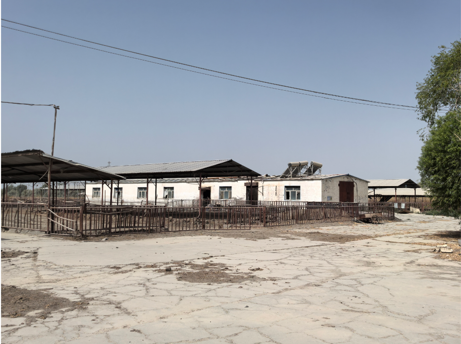 阿拉尔市惠丰投资有限责任公司租赁位于阿拉尔市七团牛场建筑物（含基础配套）等资产(国资监测编号GR2026XJ1001596)