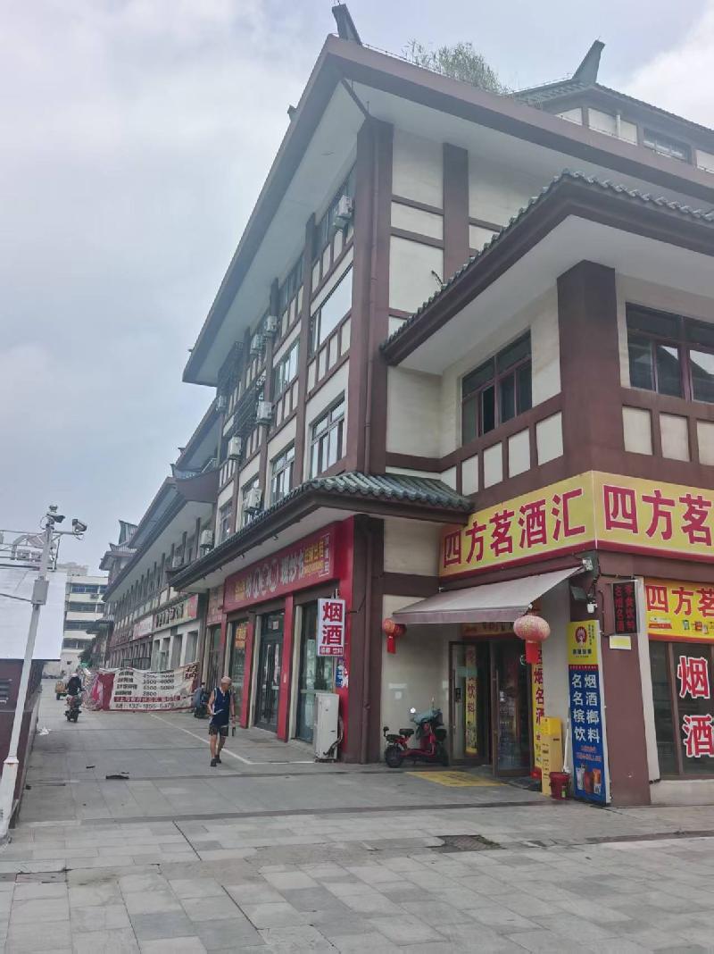 江苏徐州沛县汉街四方广场153套商铺整体转让项目公告(国资监测编号GR2026JS4003047)