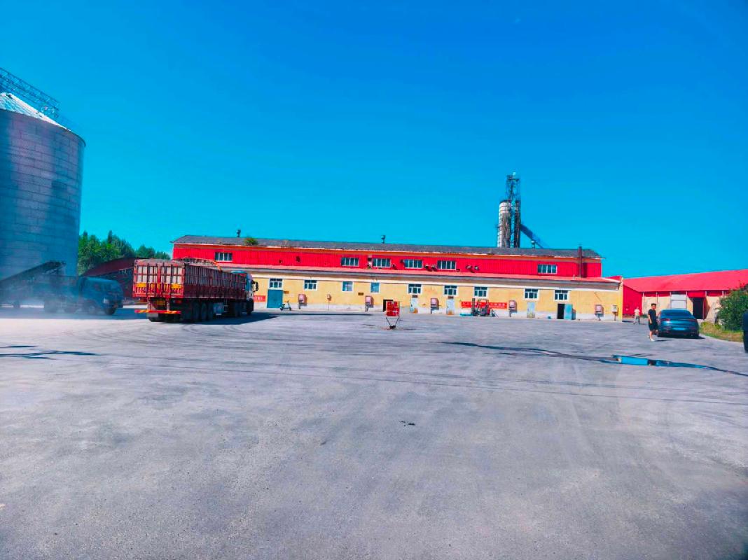 新疆生产建设兵团第九师国有资产投资经营有限责任公司租赁位于第九师167团额敏县麦海因恒盛实业有限公司房屋建筑物、公共配套设施等(国资监测编号GR2026XJ1001660)