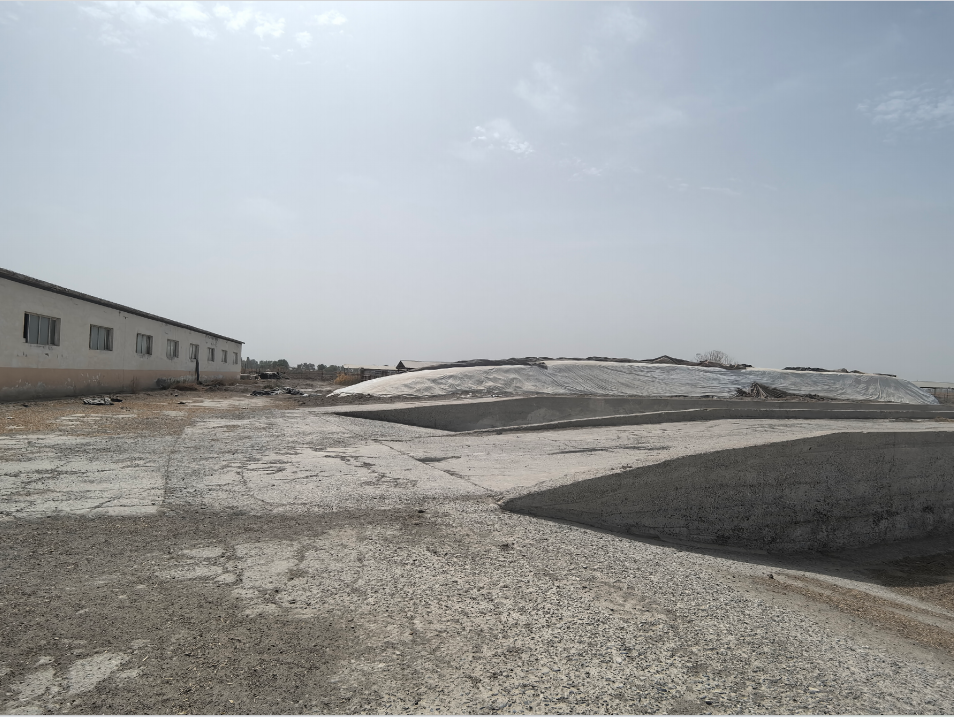 阿拉尔市惠丰投资有限责任公司租赁位于阿拉尔市七团牛场建筑物（含基础配套）等资产(国资监测编号GR2026XJ1001596)