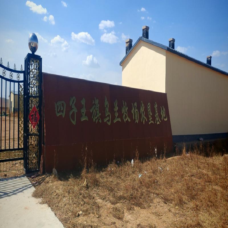 乌兰察布市四子王旗乌兰牧场肉羊养殖场公开招租（年租金底价：103335.00元/年，租期：3年）(国资监测编号GR2026NM1003389)