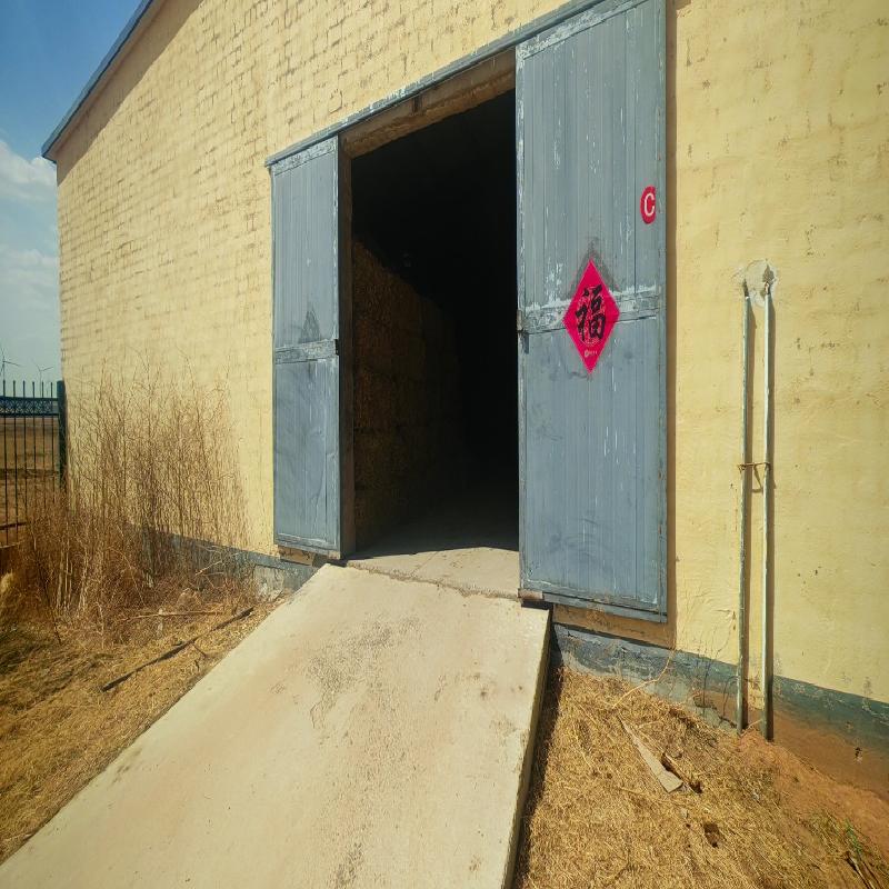 乌兰察布市四子王旗乌兰牧场肉羊养殖场公开招租（年租金底价：103335.00元/年，租期：3年）(国资监测编号GR2026NM1003389)