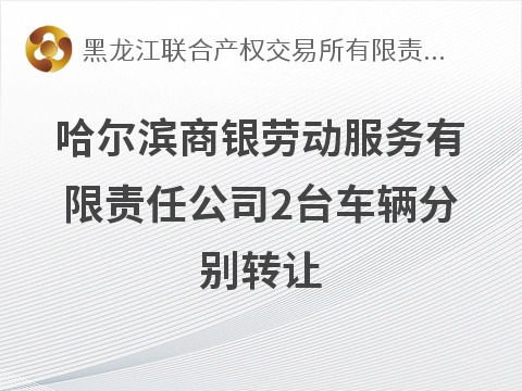 哈尔滨商银劳动服务有限责任公司2台车辆分别转让交易公告