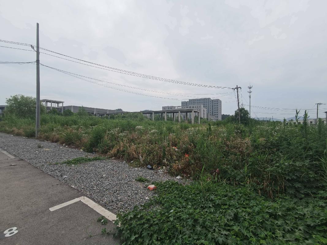江苏徐州铜山区城市轨道交通工程沿线部分地块（1号线杏山子车辆段S路东侧白地地块）招租项目公告(国资监测编号GR2026JS4003053)