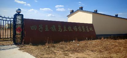 乌兰察布市四子王旗乌兰牧场肉羊养殖场公开招租（年租金底价：103335.00元/年，租期：3年）(国资监测编号GR2026NM1003389)
