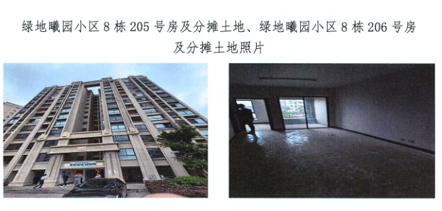海口市美兰区新大洲大道711号绿地曦园小区8栋205、206号房产及分摊土地分别转让