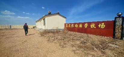 乌兰察布市四子王旗乌兰牧场肉羊养殖场公开招租（年租金底价：103335.00元/年，租期：3年）(国资监测编号GR2026NM1003389)