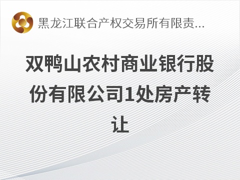 双鸭山农村商业银行股份有限公司1处房产转让交易公告(国资监测编号GR2026HL2004760)