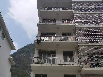 凌云县城南出城路口原冶炼厂旧址房产转让公告