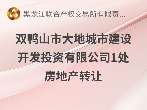 [双鸭山市]双鸭山市大地城市建设开发投资有限公司1处房地产转让交易公告