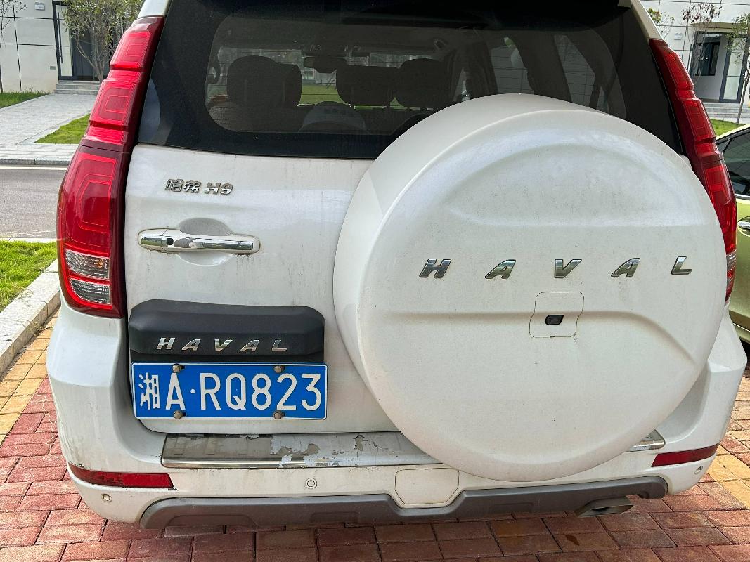 （湘ARQ823）哈弗牌小型普通客车(国资监测编号GR2026HN1002308)