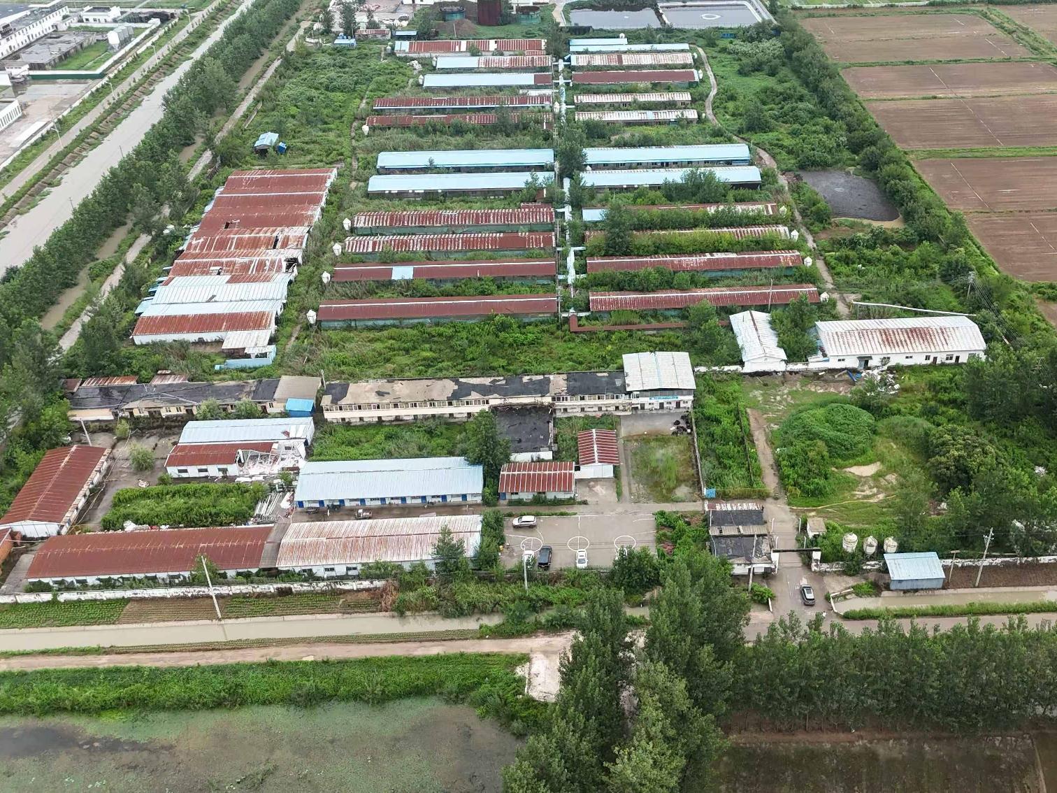 涟水县南集镇下营村种猪场公开转让(国资监测编号GR2026JS5003088)