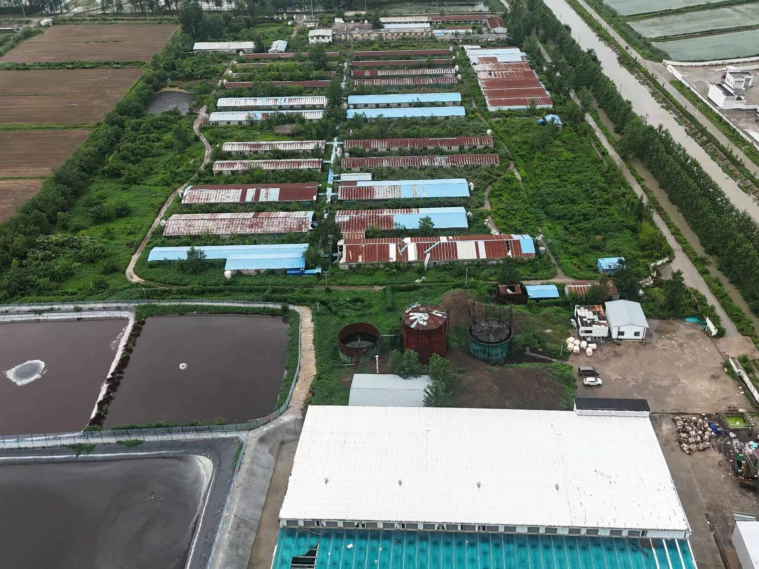 涟水县南集镇下营村种猪场公开转让(国资监测编号GR2026JS5003088)