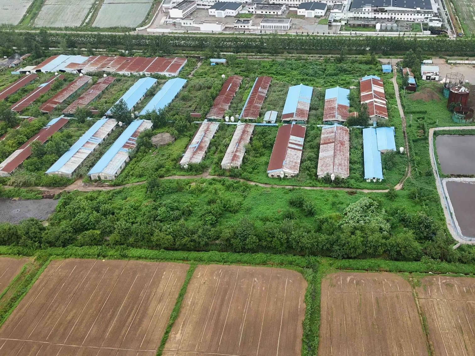 涟水县南集镇下营村种猪场公开转让(国资监测编号GR2026JS5003088)