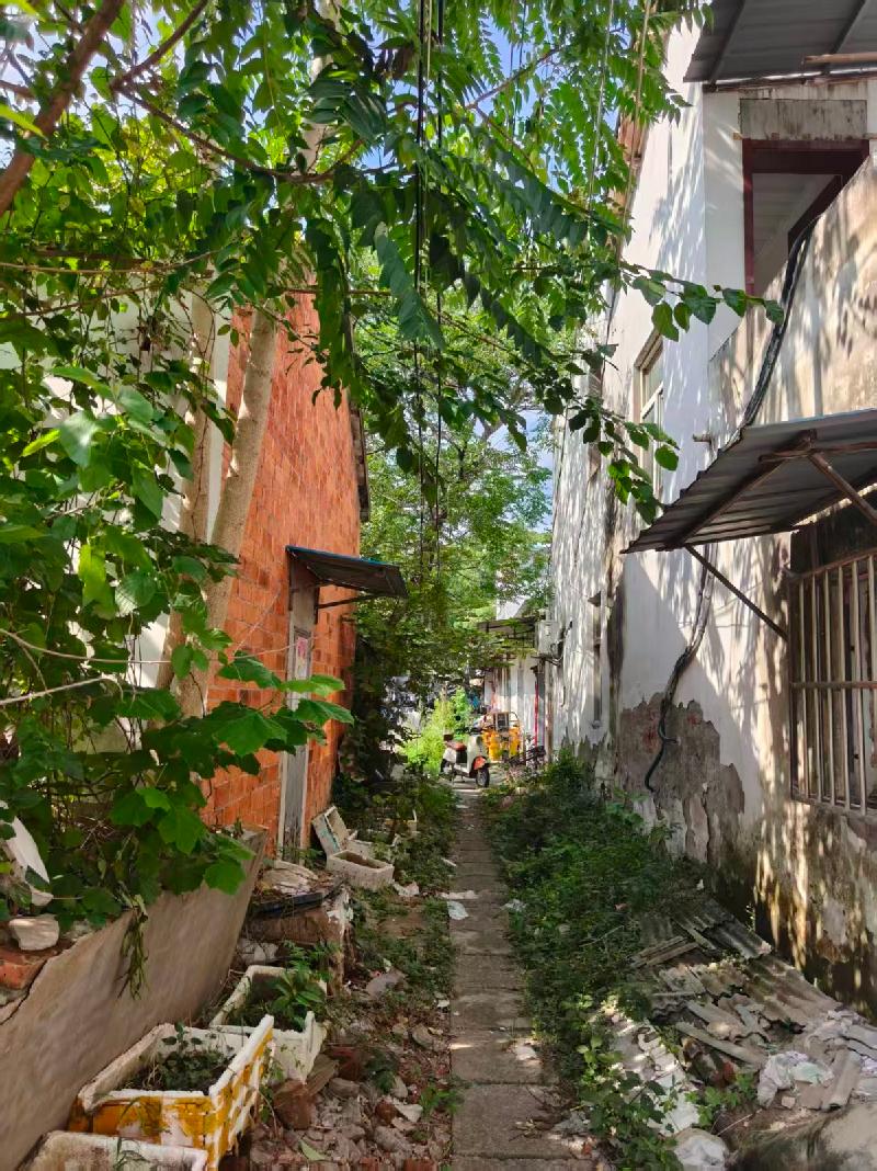 芜湖市鸠江区湾里街道王家、小杨新村周边改造项目所涉建筑物拟拆除残值转让公告(国资监测编号GR2026AH2001948)