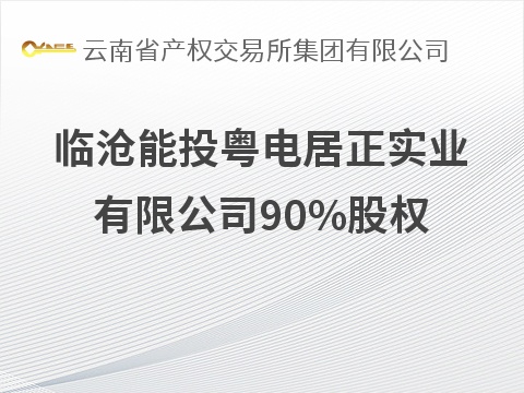 临沧能投粤电居正实业有限公司90%股权(国资监测编号G32026YN1000020)