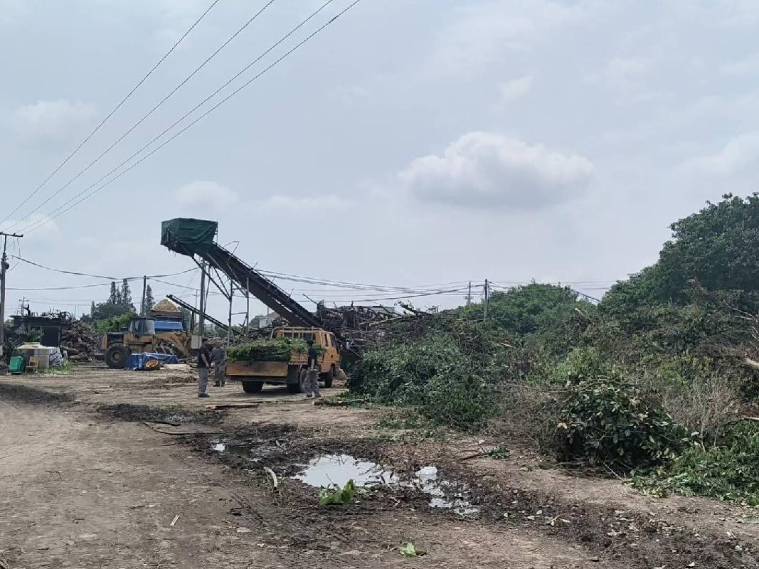 衢江区樟潭街道下张村原下坝头桑树地地块二公开挂牌招租