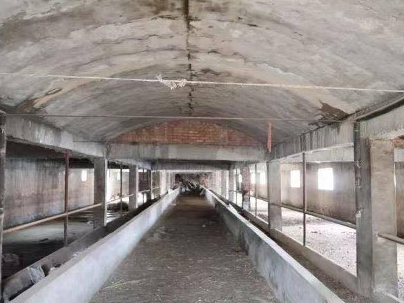 武威市凉州区大柳镇一处土地使用权及地上建筑物转让公告（第二次）