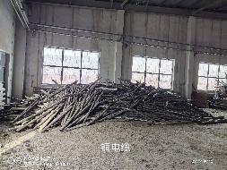 约194吨废旧铜电缆转让（挂牌底价37285元/吨）（内蒙古包钢钢联股份有限公司）(国资监测编号GR2026NM1003541)