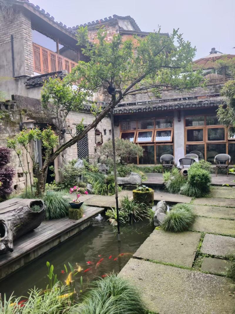 黄山市屯溪老街10间房产出租公告(国资监测编号GR2026AH2002057)