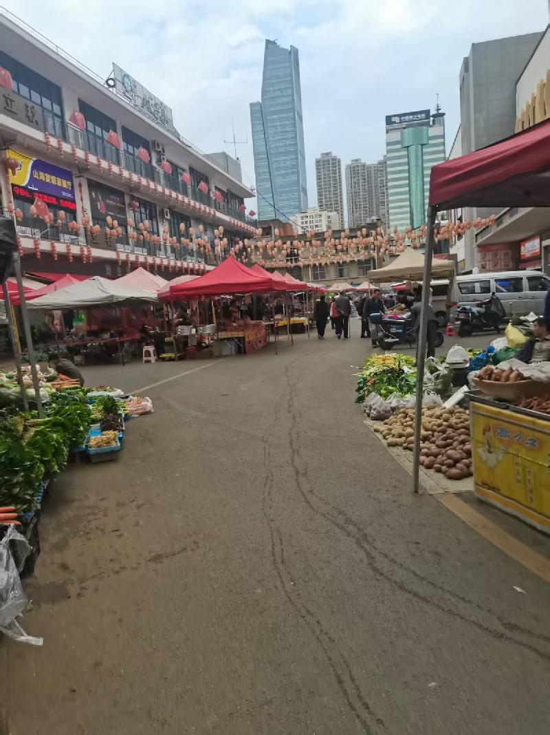 昆明市官渡区吴井路130号海鲜农贸市场农贸板块经营性资产租赁项目(国资监测编号GR2026YN1000480)
