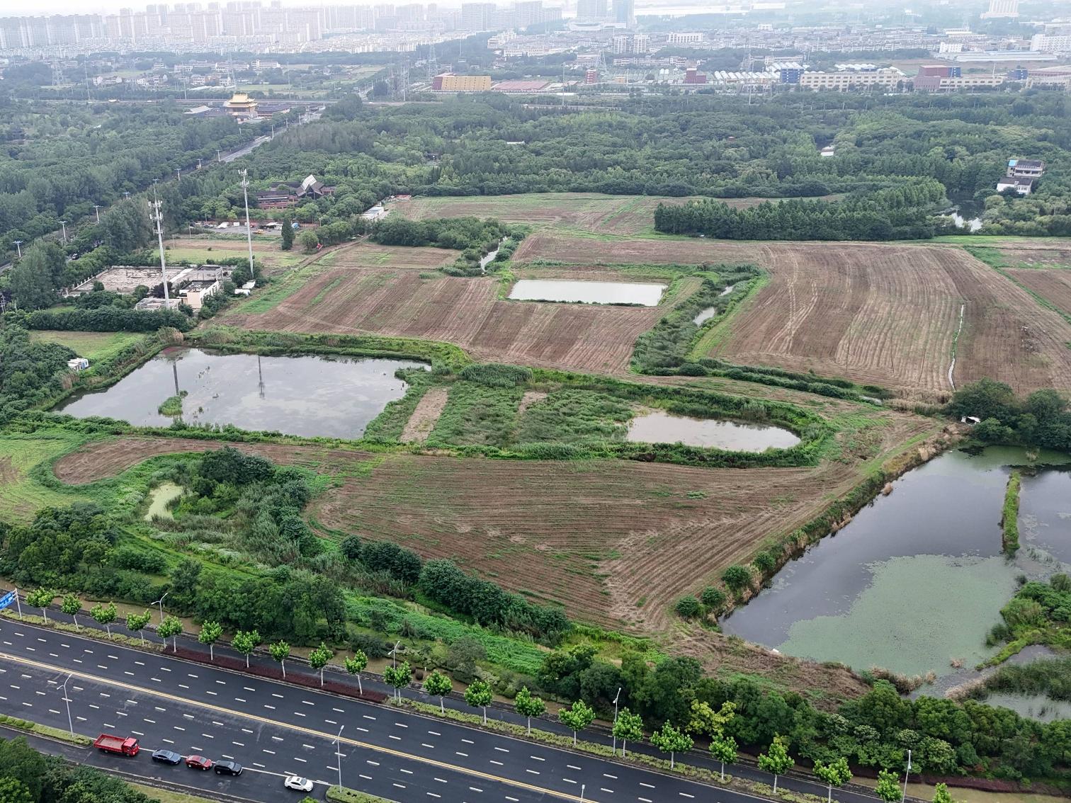 北海路北侧地块招租公告