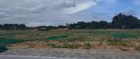 陵水黎族自治县2026-01（LSFK）宗地国有划拨建设用地使用权公开转让(国资监测编号GR2026HI1001295)