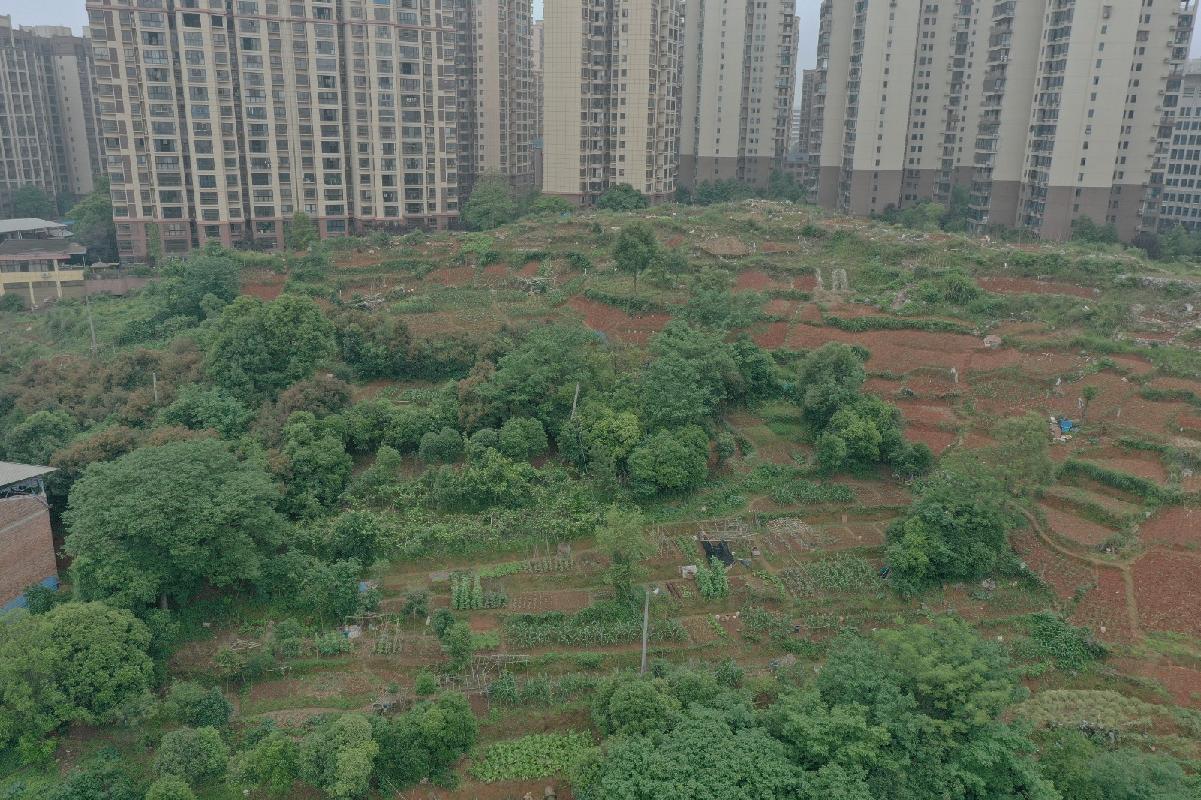 邵阳市大祥区学院路街区公路用地(国资监测编号GR2026HN1002787)