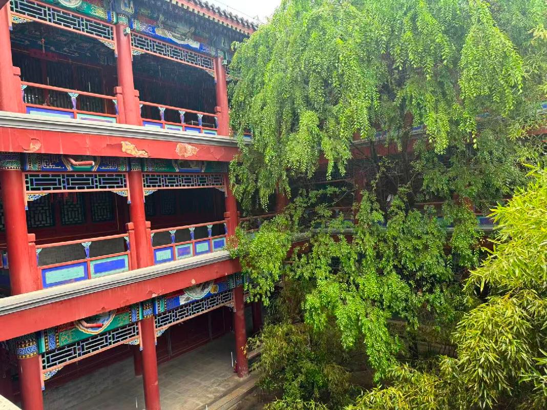 北京市东城区东晓市街211号四合院招租，年租金底价3810017.02元/年，租期五年（鄂尔多斯市国有资产投资控股集团有限公司）(国资监测编号GR2026NM1003539)