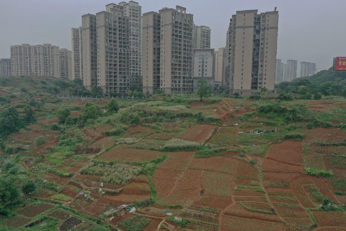 邵阳市大祥区学院路街区公路用地(国资监测编号GR2026HN1002787)