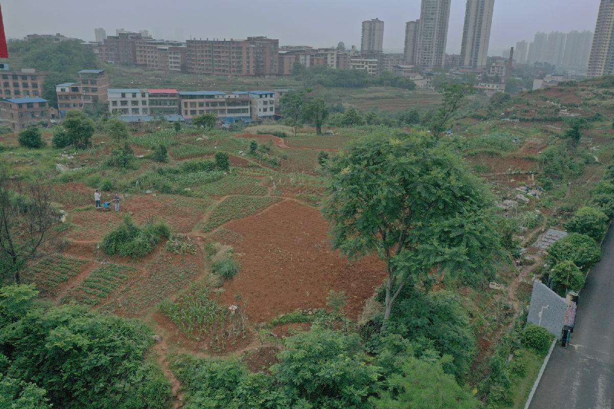 邵阳市大祥区学院路街区公路用地(国资监测编号GR2026HN1002787)