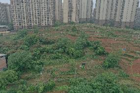 邵阳市大祥区学院路街区公路用地(国资监测编号GR2026HN1002787)