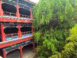 北京市东城区东晓市街211号四合院招租，年租金底价3810017.02元/年，租期五年（鄂尔多斯市国有资产投资控股集团有限公司）(国资监测编号GR2026NM1003539)