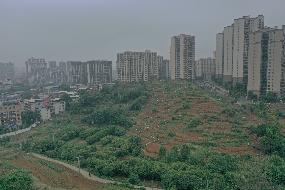 邵阳市大祥区学院路街区公路用地(国资监测编号GR2026HN1002787)