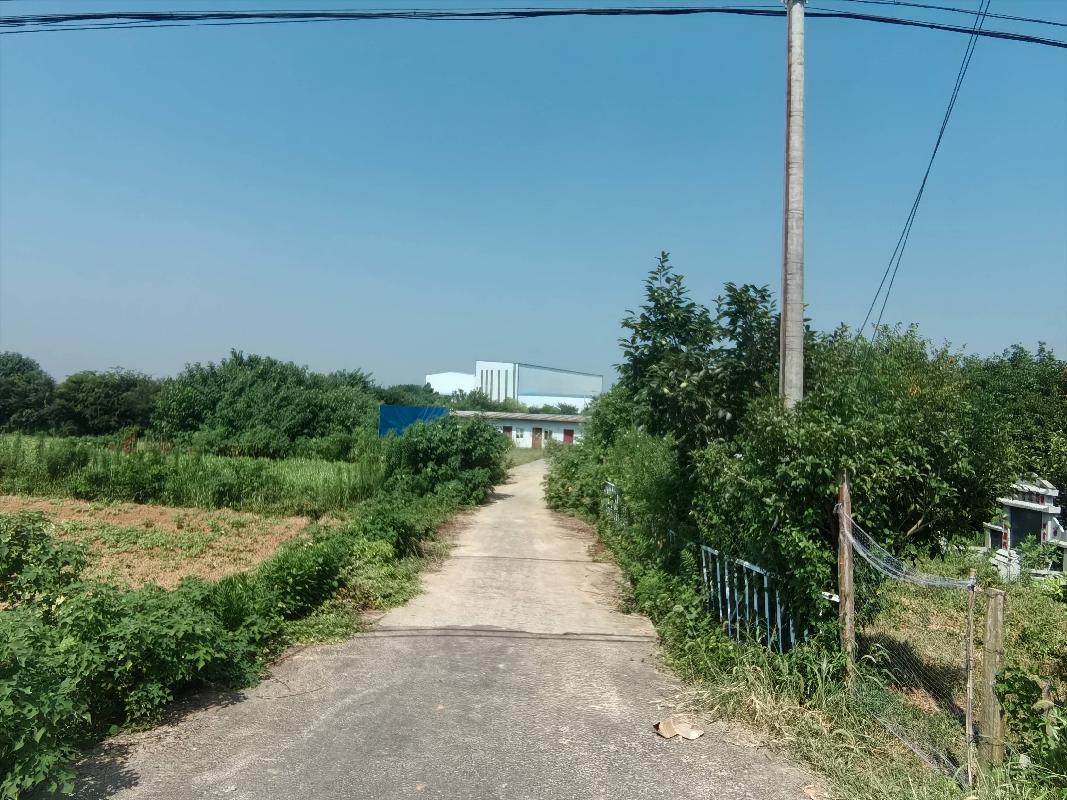 [芜湖市]无为市红庙镇原健康驿站房屋及土地使用权出租公告