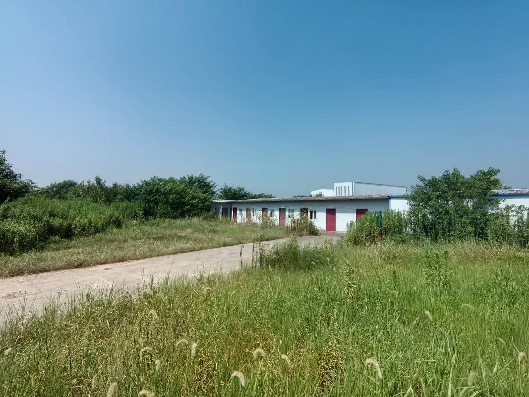 无为市红庙镇原健康驿站房屋及土地使用权出租公告(国资监测编号GR2026AH2002172)