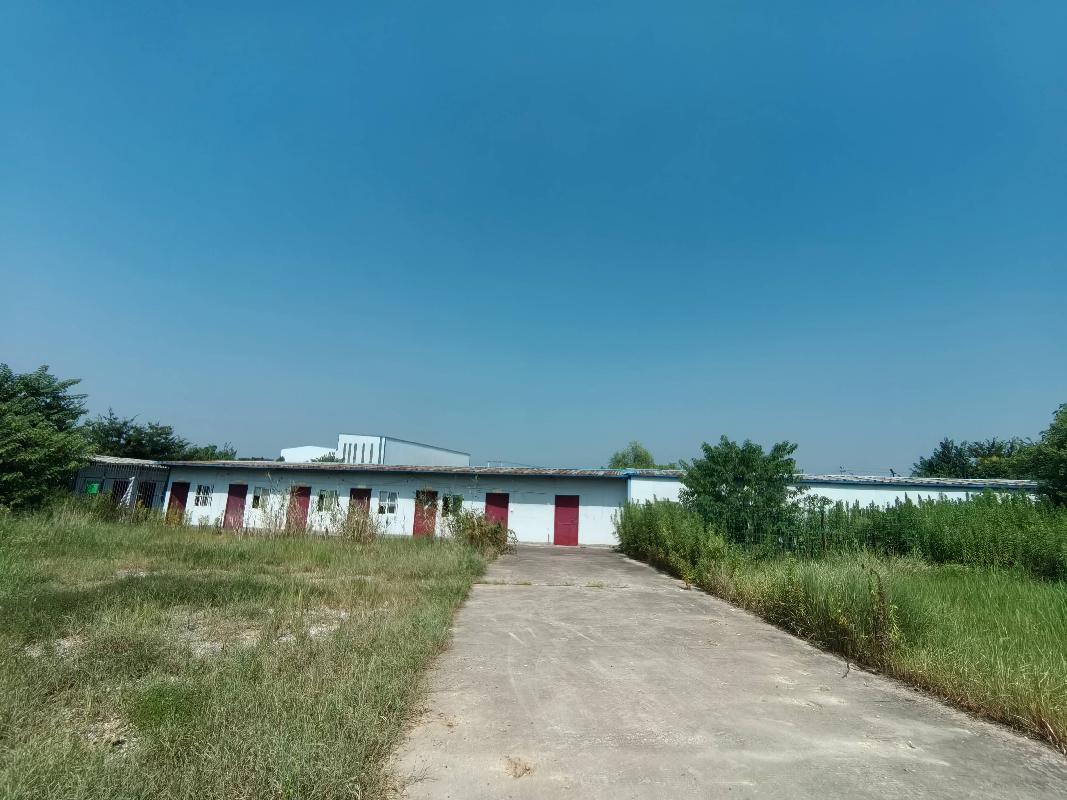 无为市红庙镇原健康驿站房屋及土地使用权出租公告(国资监测编号GR2026AH2002172)