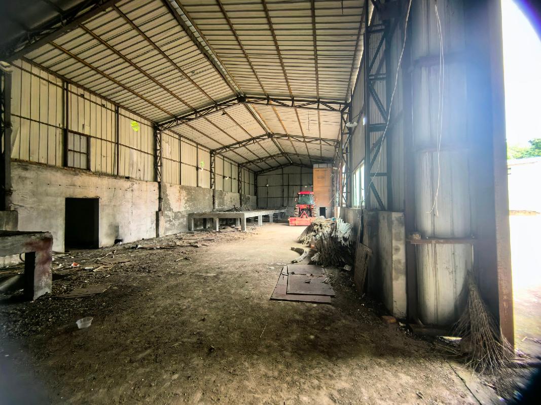 东至县胜利镇新军村01号一宗工业用地土地使用权及房屋建筑物、构筑物等资产转让公告(国资监测编号GR2026AH2002179)