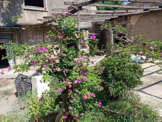 天宁区夏凉路1号转让公告