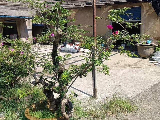 天宁区夏凉路1号转让公告