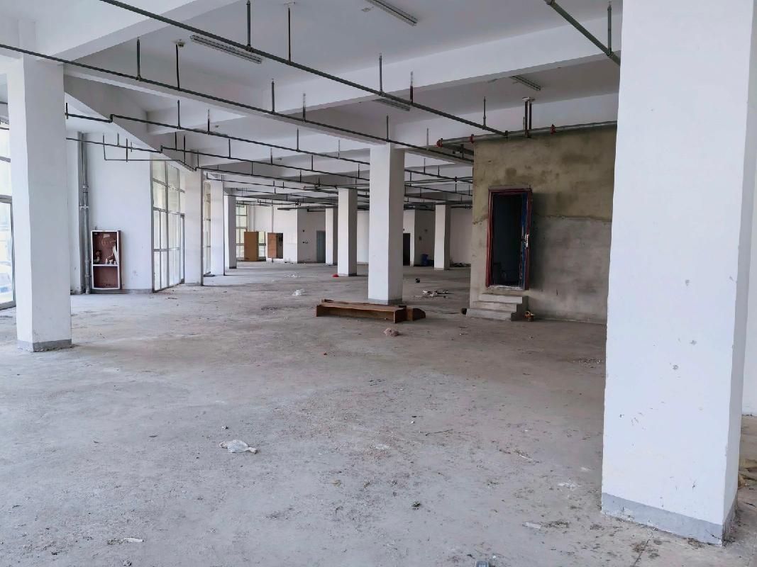 安庆市宜秀区祥和路新桥佳苑S1幢1层01室房产出租公告(国资监测编号GR2026AH2002195)