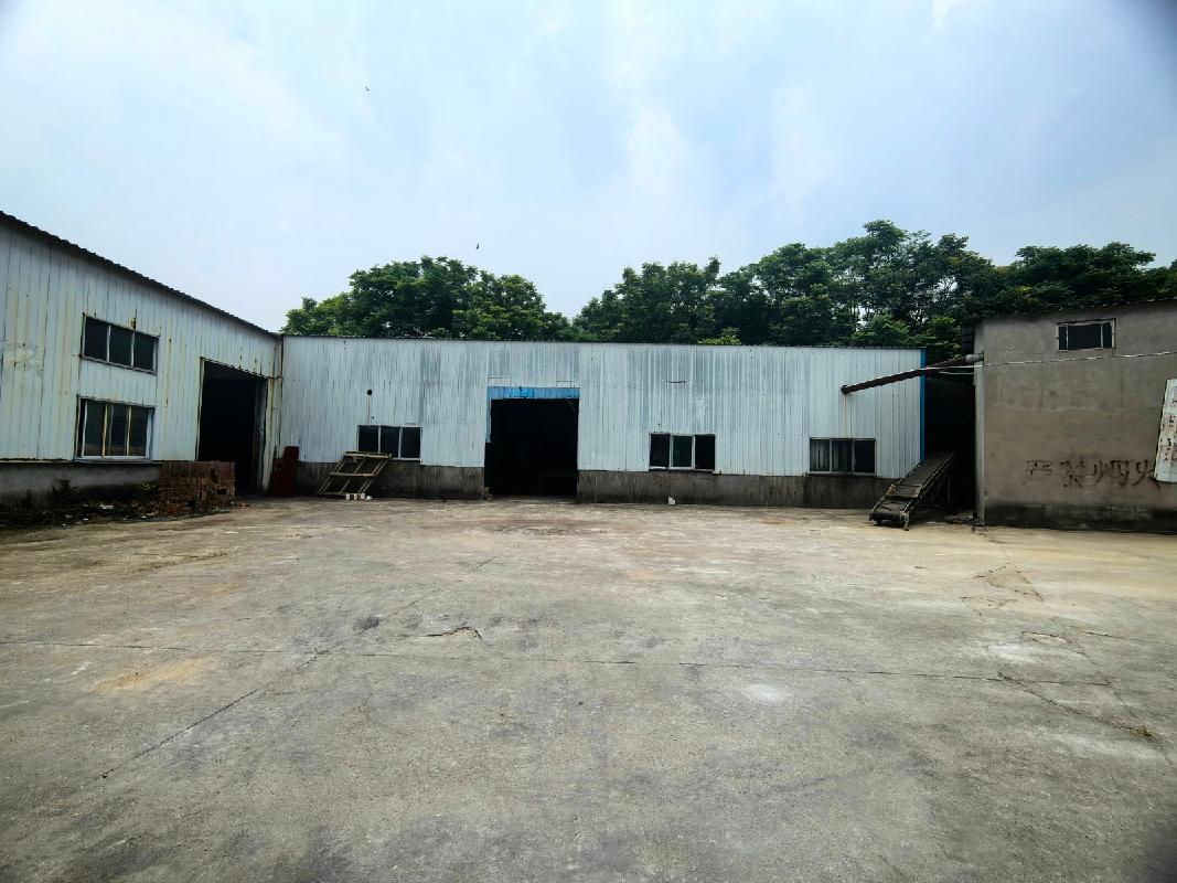 东至县胜利镇新军村01号一宗工业用地土地使用权及房屋建筑物、构筑物等资产转让公告(国资监测编号GR2026AH2002179)