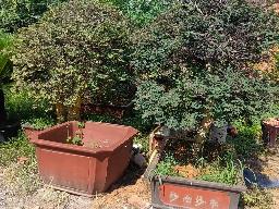 天宁区夏凉路1号转让公告