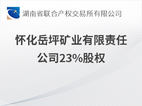怀化岳坪矿业有限责任公司23%股权(国资监测编号G32026HN1000032)