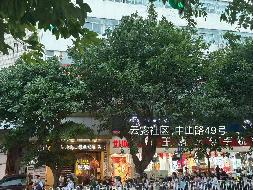 海口市琼山区中山路49号一至三层分别公开挂牌招租
