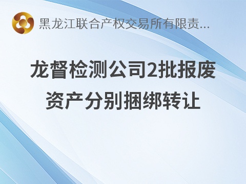 龙督检测公司2批报废资产分别捆绑转让交易公告