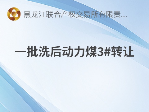[鸡西市]一批洗后动力煤3#转让交易公告