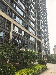 芜湖市湾沚区湾沚镇罗保社区华涛观澜一品、罗保社区老村部第5层、老村部4号门面房共6处房产出租公告