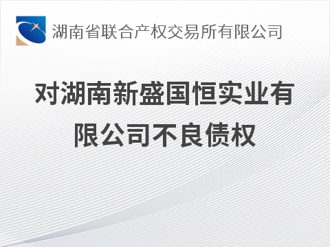 对湖南新盛国恒实业有限公司不良债权(国资监测编号GR2026HN1002858)